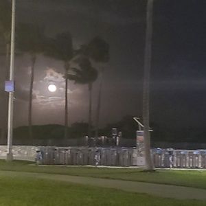 Meet your Posher, Carlos